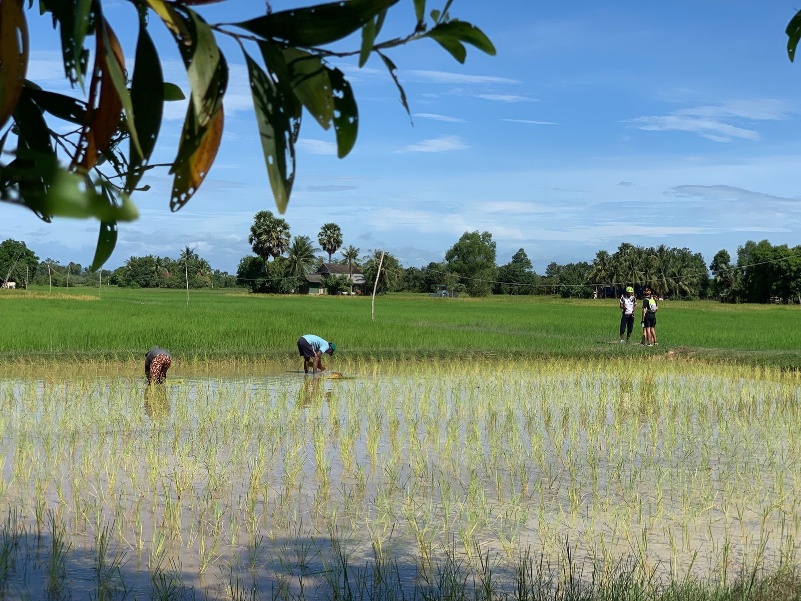 Siem Reap Cycling Tours 6 Days